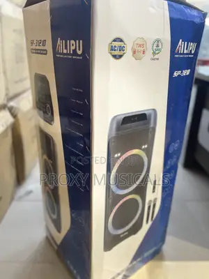 Ailipu Pa System Double 12”
