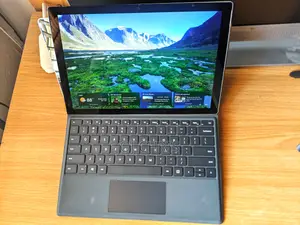 Microsoft Surface Pro 5 256 GB Gray