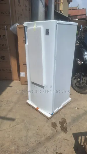 Brand New Lg Upright Standing Freezer (110w) For Ice Block Business