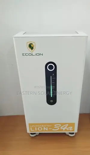Eco Lion Lithium Battery