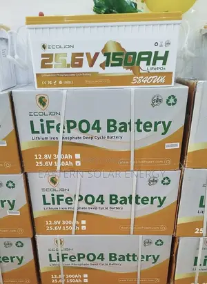 Eco-Lion Lithium Battery