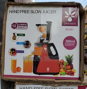 Zaramix Slow Juicer 300ml