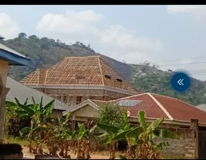 Gerrald Roof