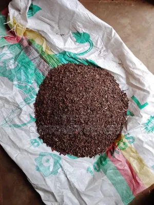 Cocoa Nibs