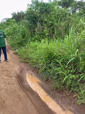 Hectares of Land for Sale