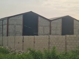 8000sqm Warehouse Construction, Steel Fabrication