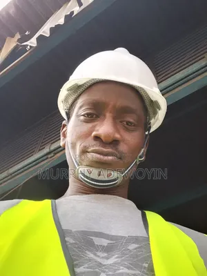 Electrical Fittings and Works
