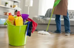 Standard Cleaning Services
