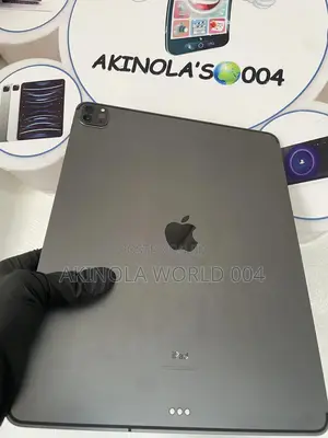 Apple iPad Pro 256 GB Gray