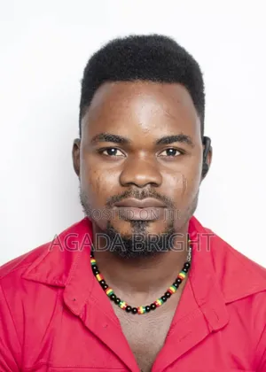 Mr Bright Agada