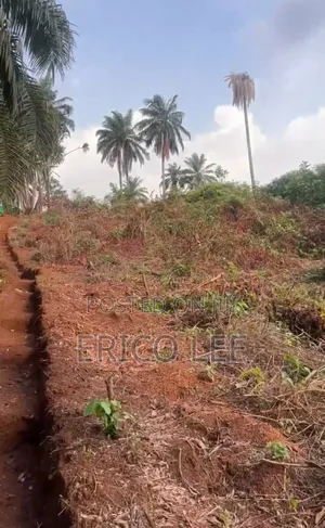 2 Plots of Land at Umueze Alala Emede Ibeku in Umuahia