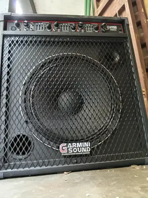 Garmini Sound Professional Bass Combo Speaker