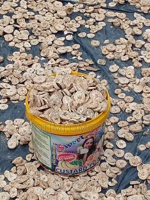 Clean Sun Dried Plantain – Bulk Available
