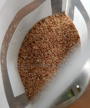 Psyllium Husk Whole Seed 250g