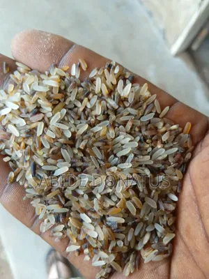50kg Dog Brown Rice