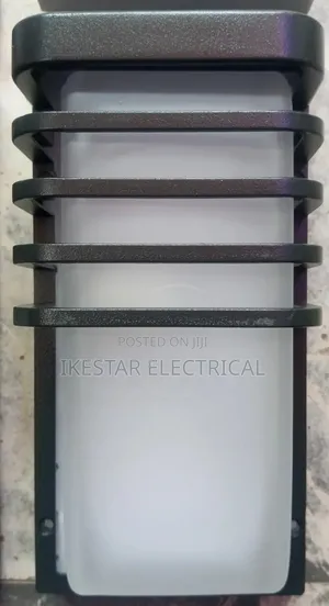 Wall Security Light