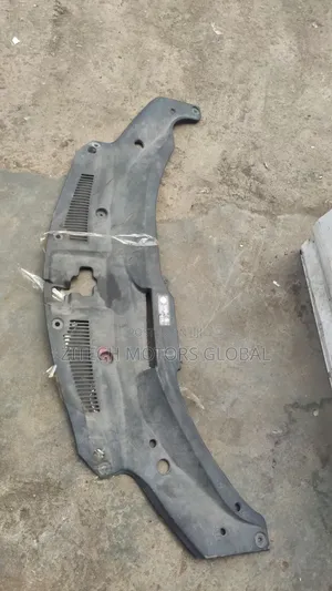 Radiator Plastic Rx350 2018