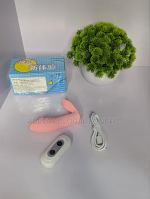 Panty Wearable Rechargeable Remote Control Vibrator Sex Toy for Women