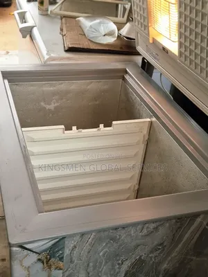 Bosch Deep Freezer