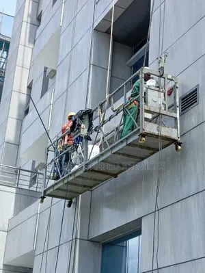 Facade Cleaning Pro