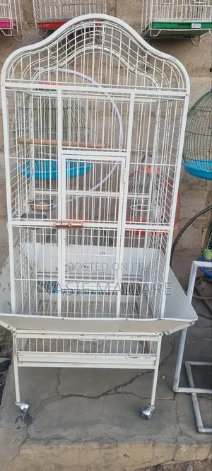 Parrot Cage Is Available