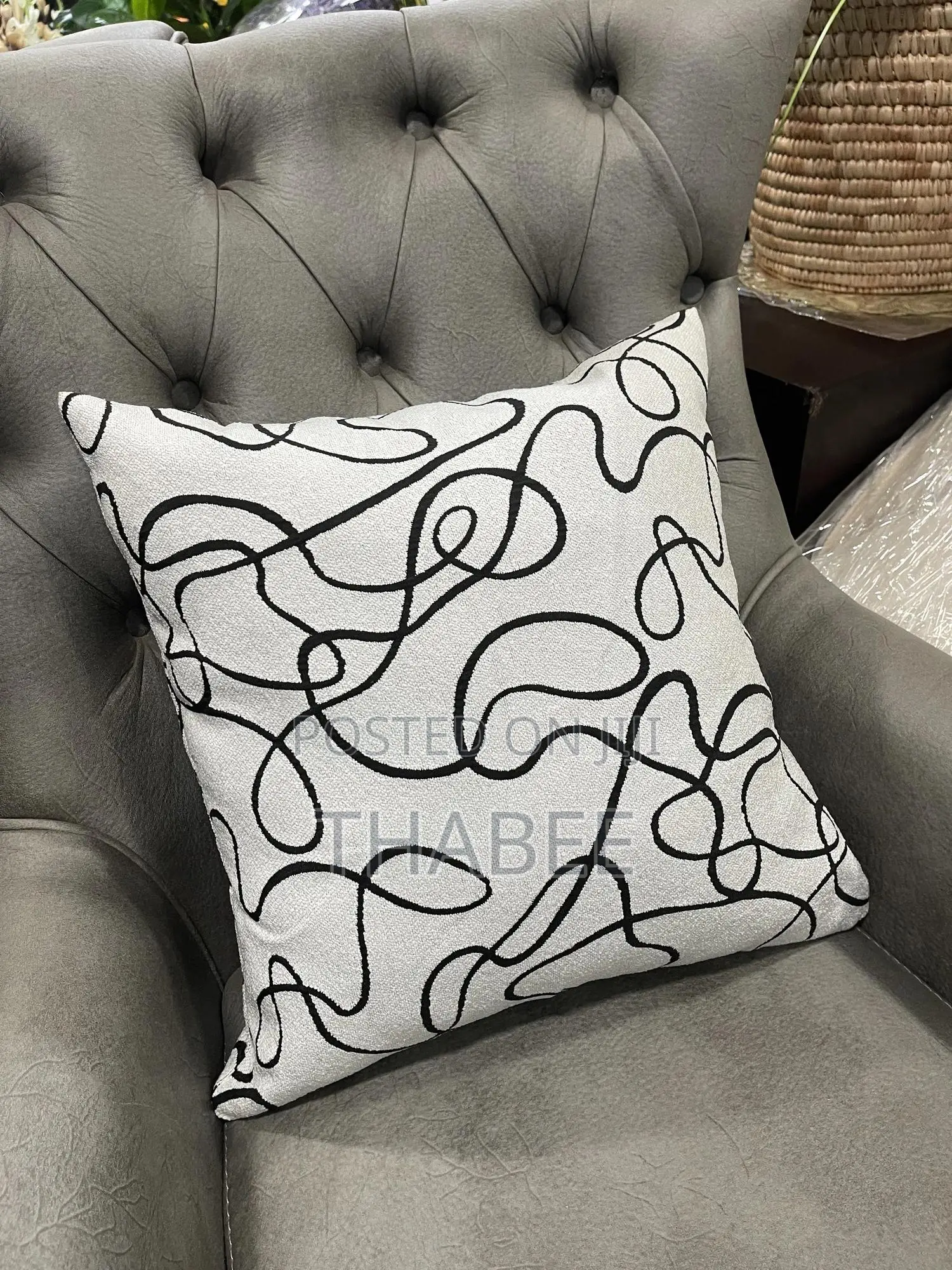 Black and White Throw Pillows