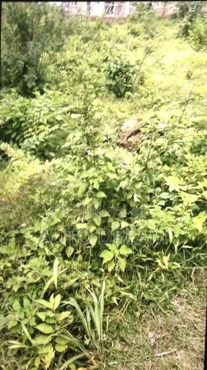 2 Plots of Land at Ido, Ologuneru Ibadan