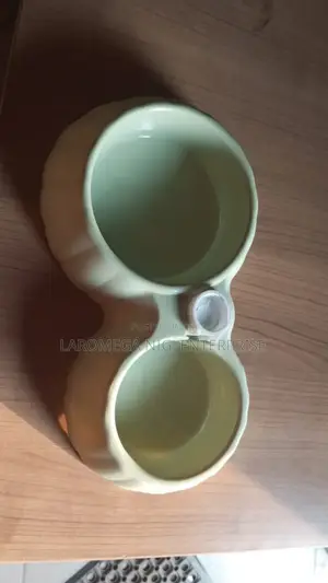 Feeding and Water Bowl
