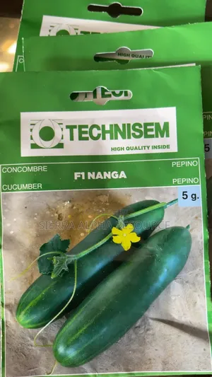 Cucumber Seeds