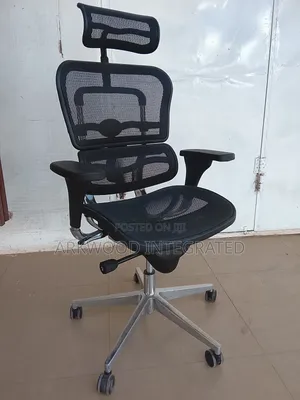 Ergonomic Mesh Chair With Adjustable Support Seat, Big Mechanism