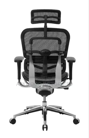 Ergonomic Mesh Chair With Adjustable Support Seat, Big Mechanism