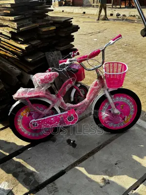 20 Inch Princess Durable Bicycle