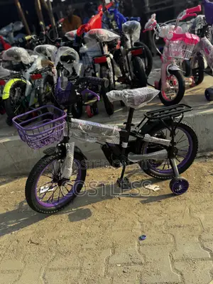 Tiger Kids' Bicycle With Training Wheels