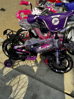 Unisex Purple Kiddies Bicycle