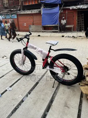 Mountain Fat-Tire Bike