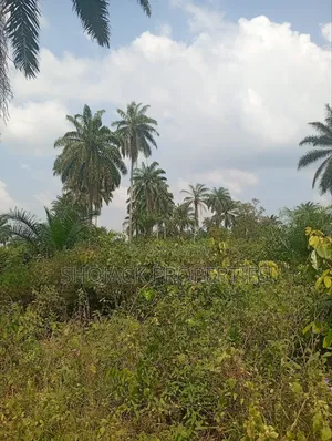 For Sale: Plots of Land at Aleto