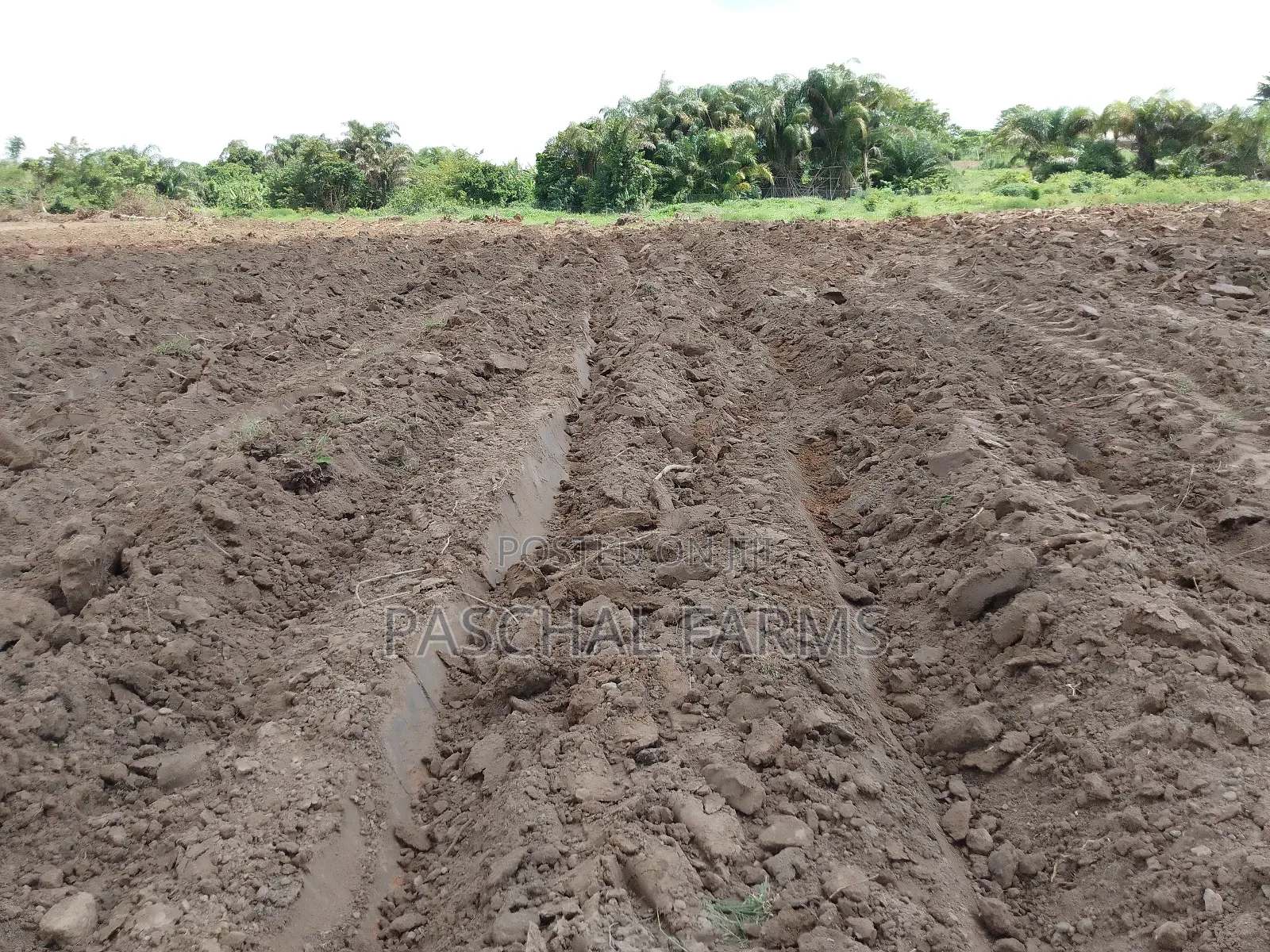 Tractor Services