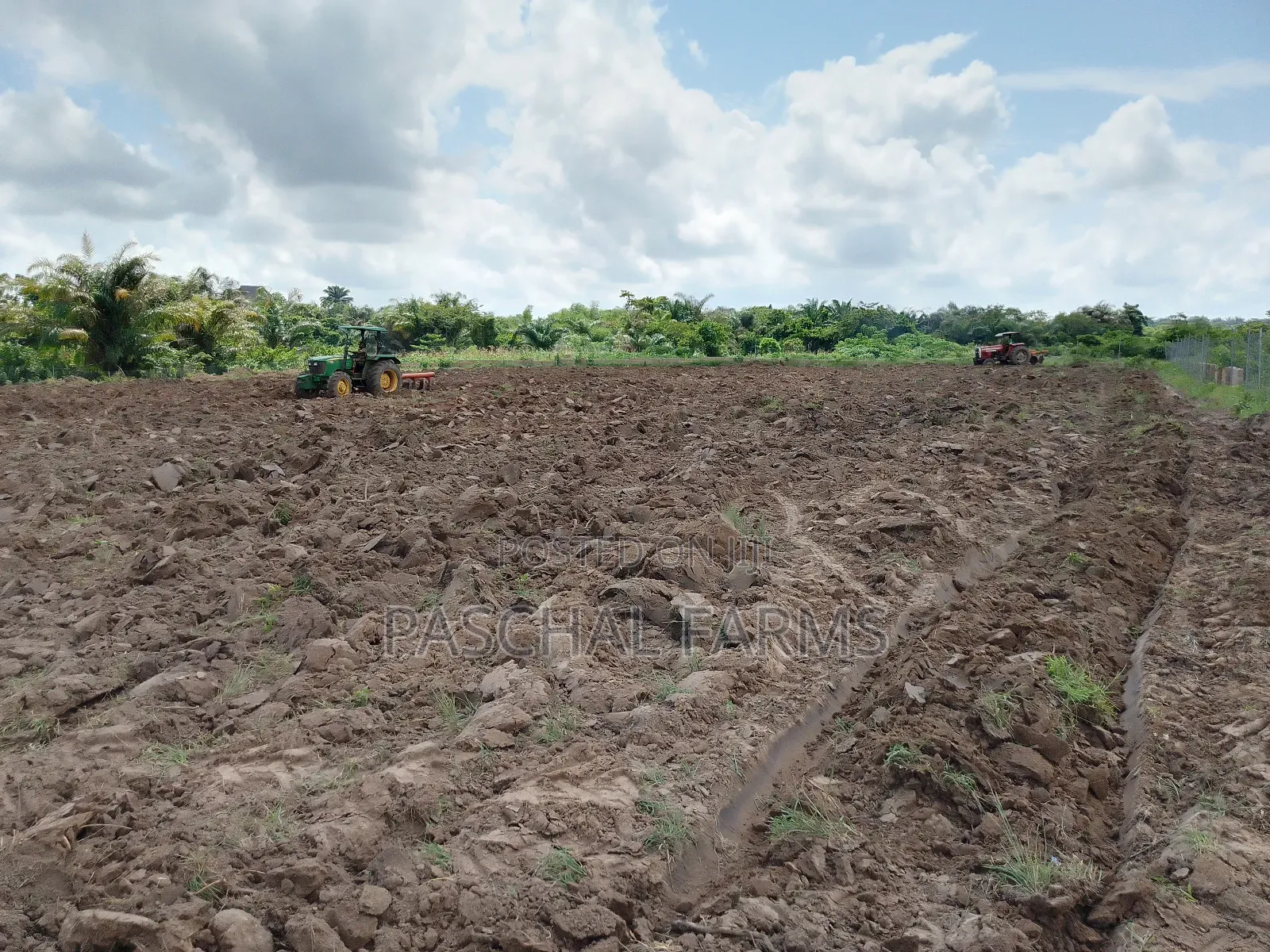 Tractor Services