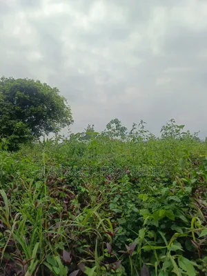 Acres of Land at Obafemi Owode