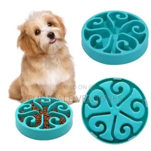 Slow Feeder Dog Bowl