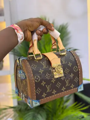 Luxury Louis Vuitton Speedy Trunk Size: Medium