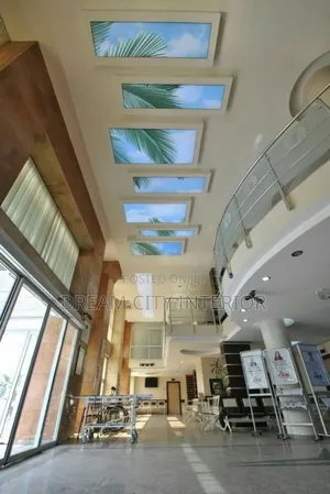 3d Stretch Ceiling Designs