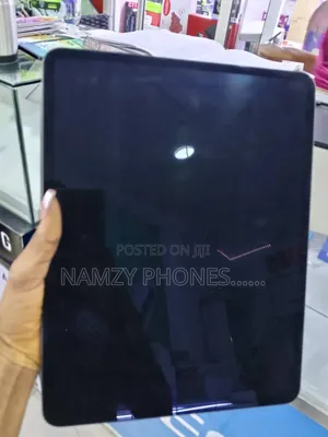 Apple iPad Pro 256 GB Gray