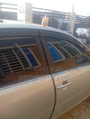 Professional Car Window Tinting