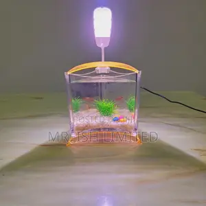Mini Triangle Table Top Aquarium