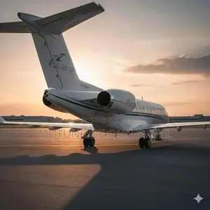 Private Jet Charter for Daily Rental