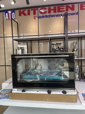 Electric Convection Oven (Big)