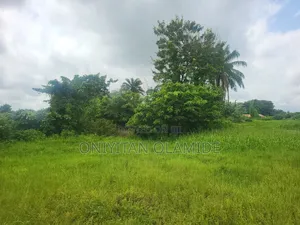 12.5 Hectares of Land Facing the Express.