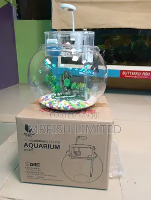 Bowl Aquarium 5 Litres