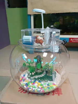 Bowl Aquarium
